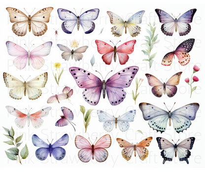 Butterfly Collection