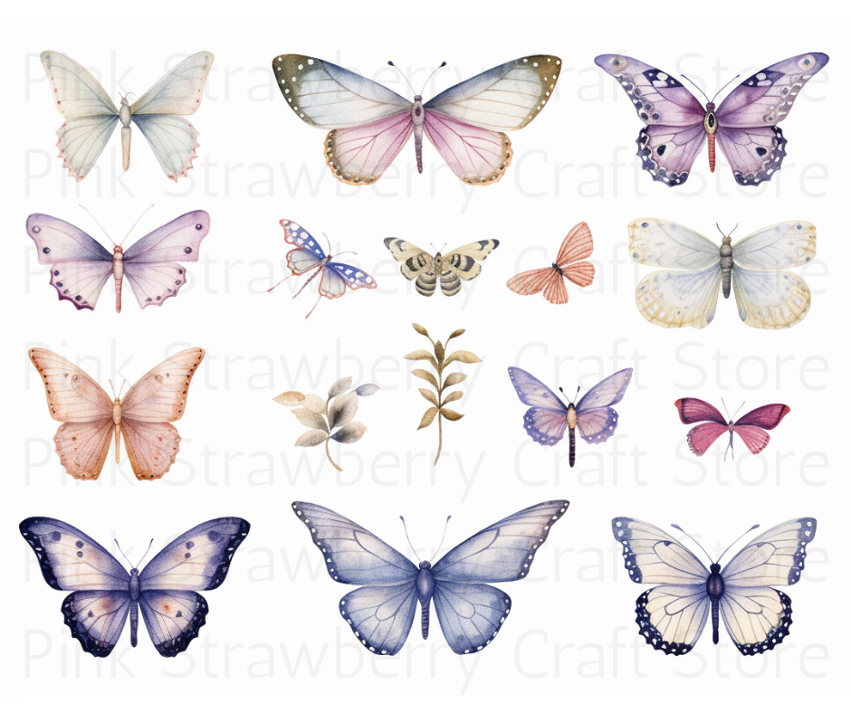 Butterfly Collection