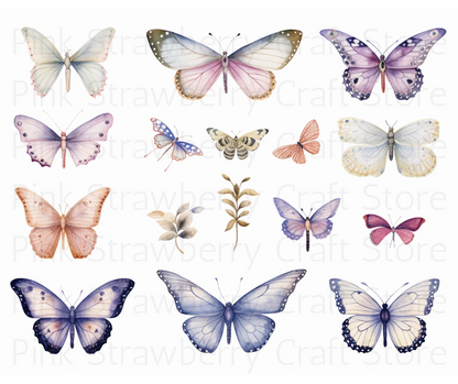 Butterfly Collection