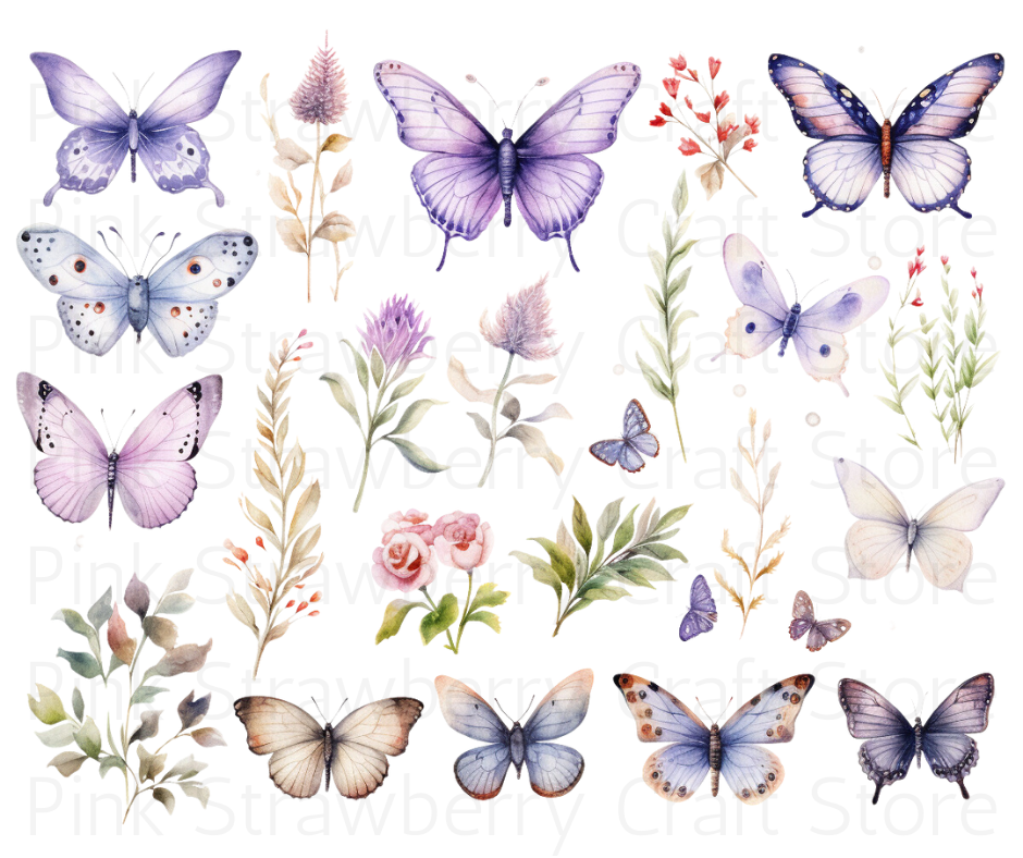 Butterfly Collection