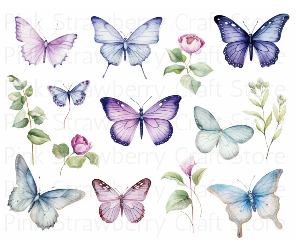 Butterfly Collection